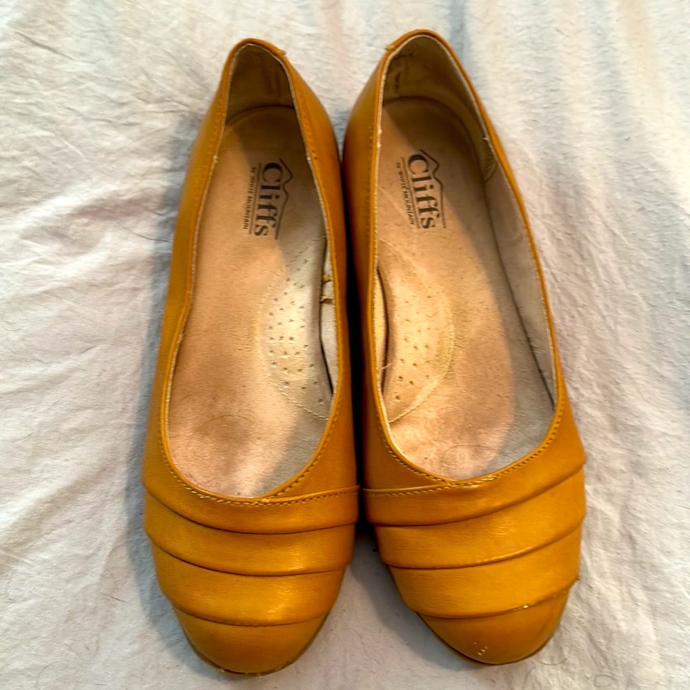 Clara Ballet Flats Great Price!!!